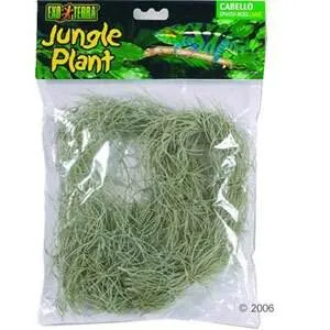 EXO TERRA Spanish Moss  Large