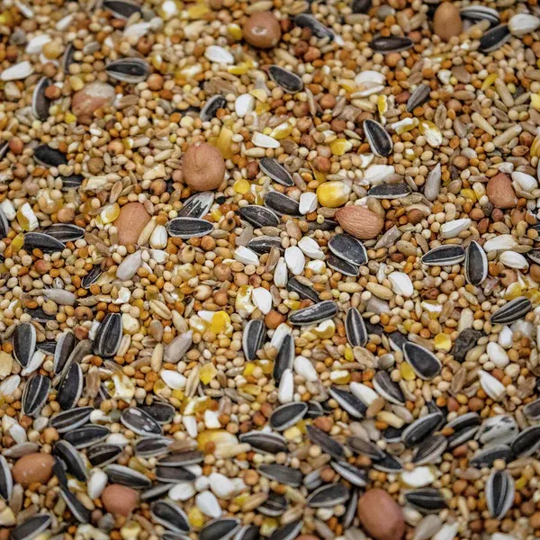 4BirdsVildfugleblandingSuperLuxus20kg foderbillede 620a3bda 07f0 407a 95d4