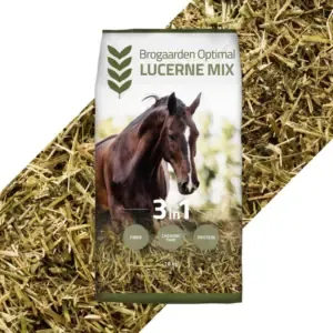 Brogaarden Ω Lucerne