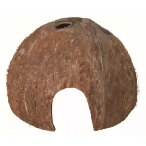 Kokosnød hule large